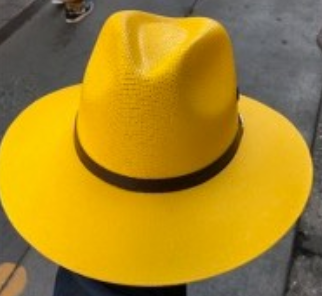 Sun Hat Spring Collection